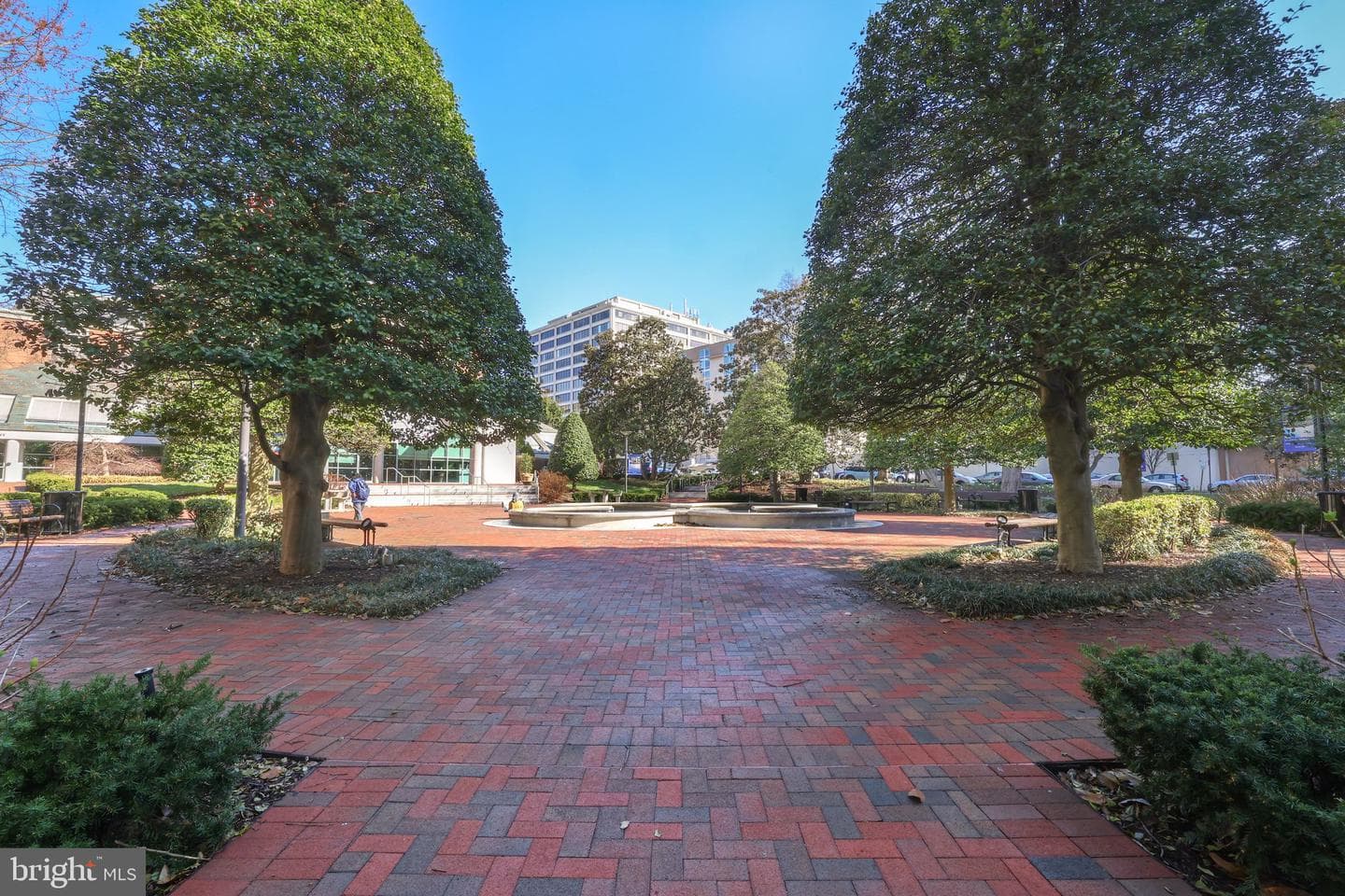 5500 Friendship Boulevard #2101n photo 4