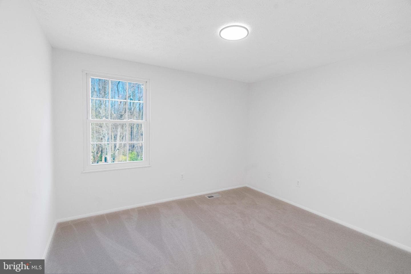 1316 Windmill Lane photo 36