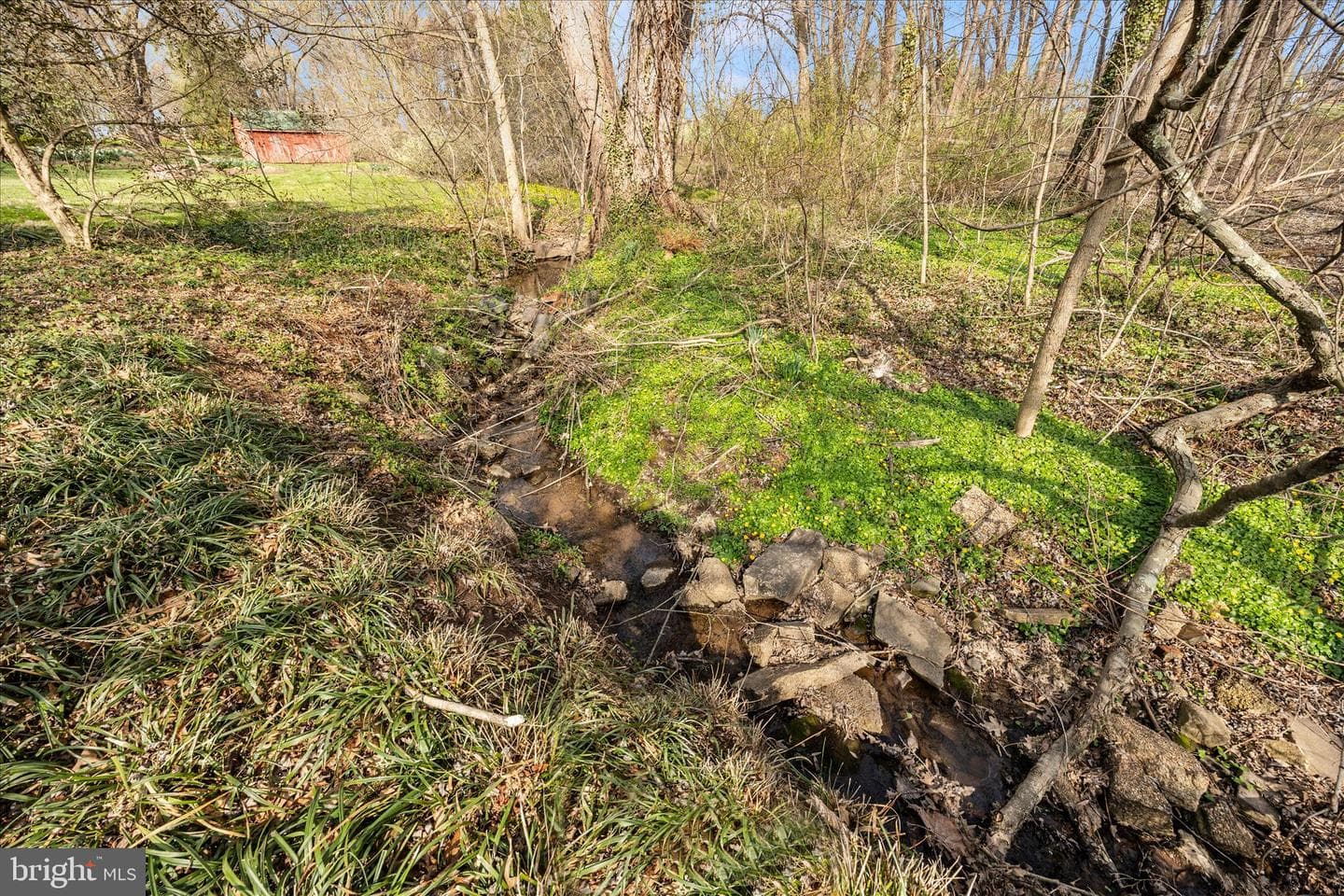22315 Nicholson Farm Road photo 62