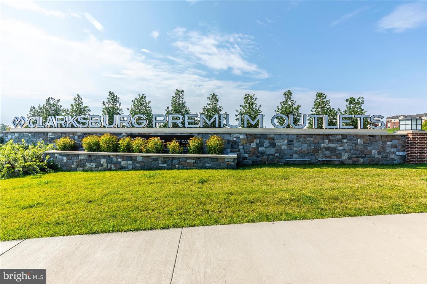 22109 Winding Woods Way photo 138