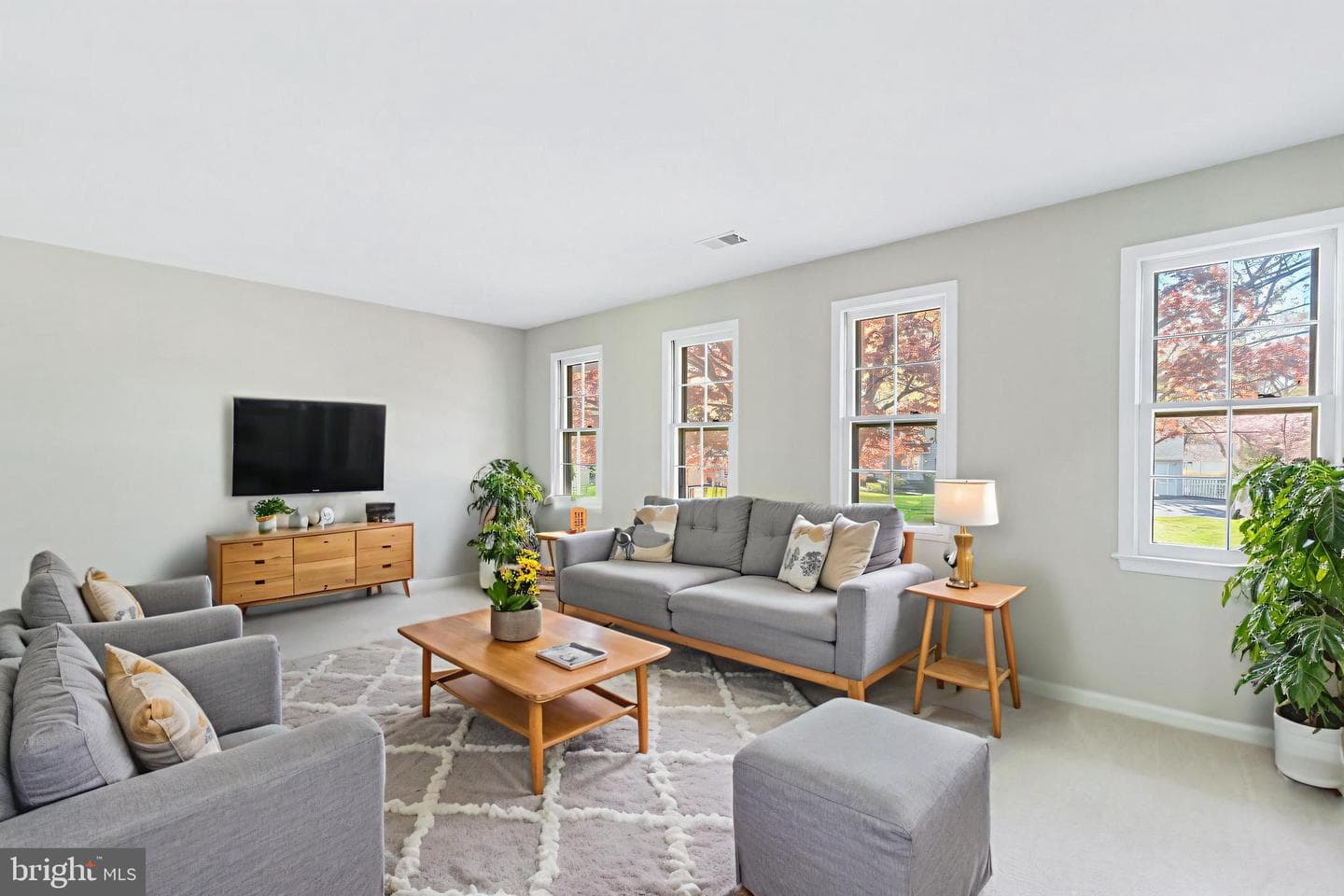 17009 Freedom Way photo 12