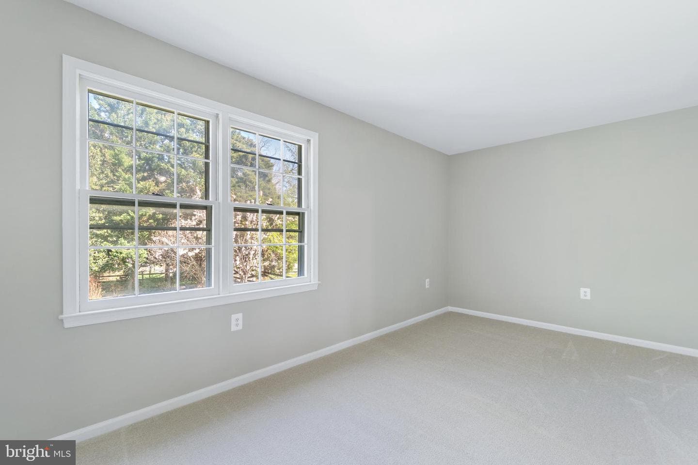 17009 Freedom Way photo 28