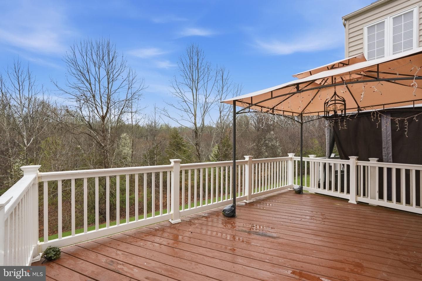22169 Fair Garden Lane photo 35