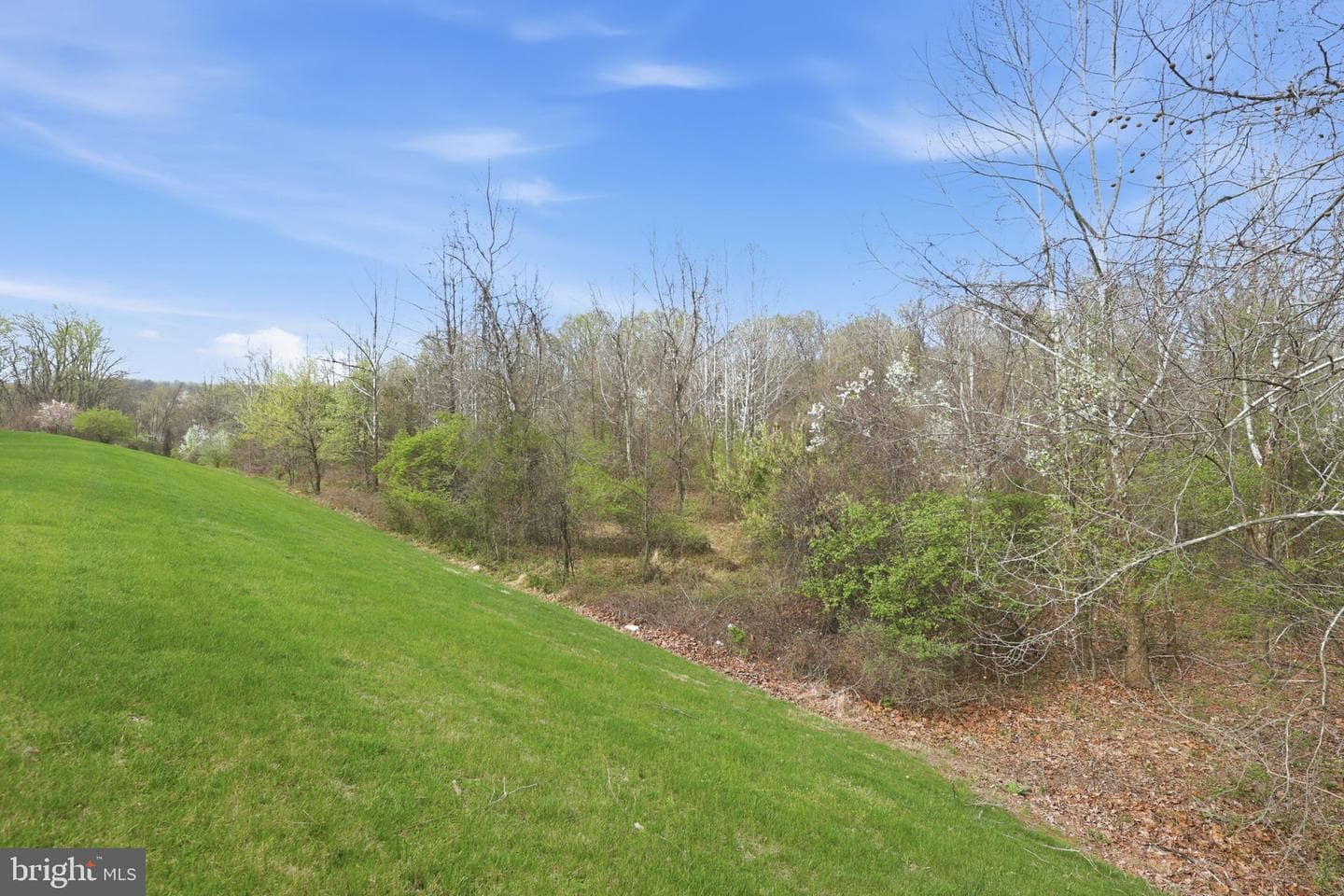 22169 Fair Garden Lane photo 40