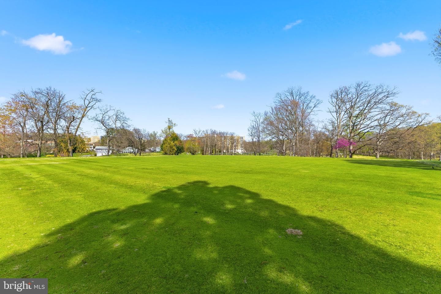 14801 Pennfield Circle #206 photo 28