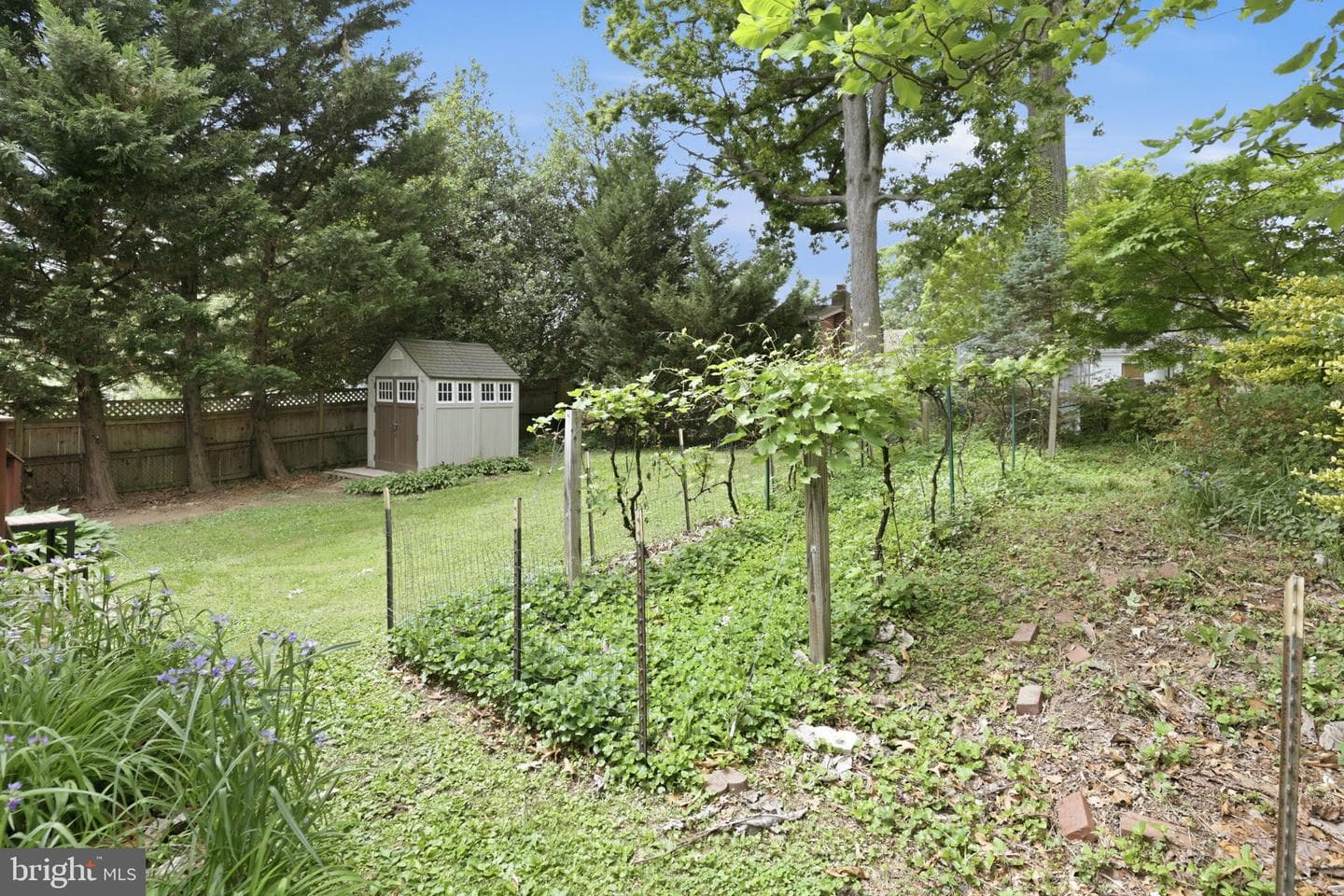 10510 Hayes Avenue photo 22