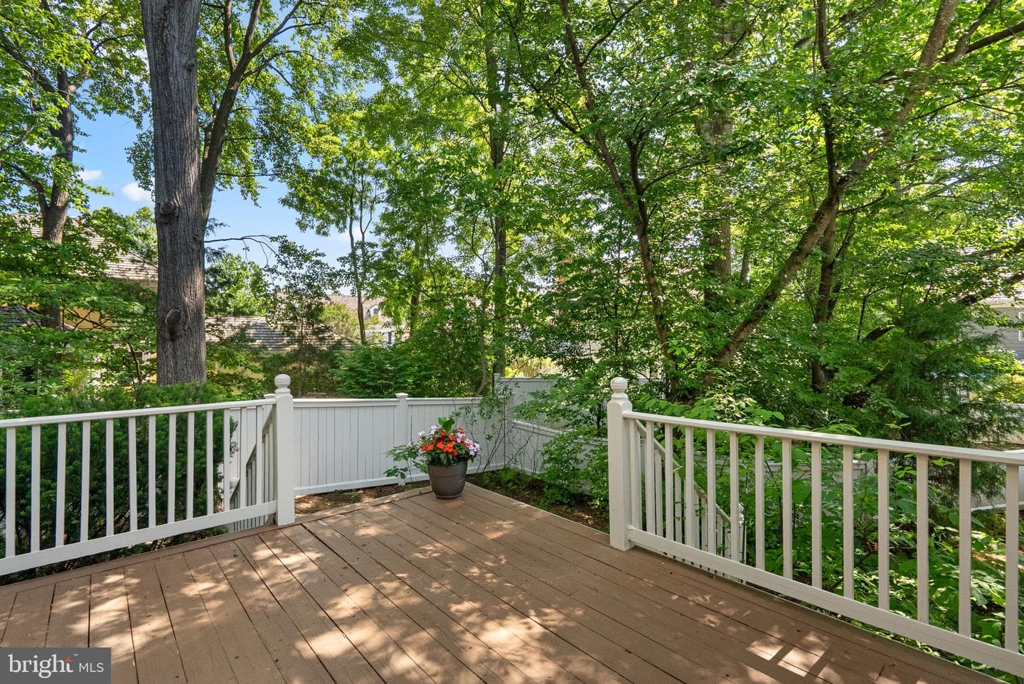 211 Holmard Street photo 53
