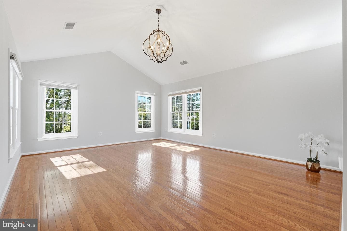 3714 Monitor Place photo 21