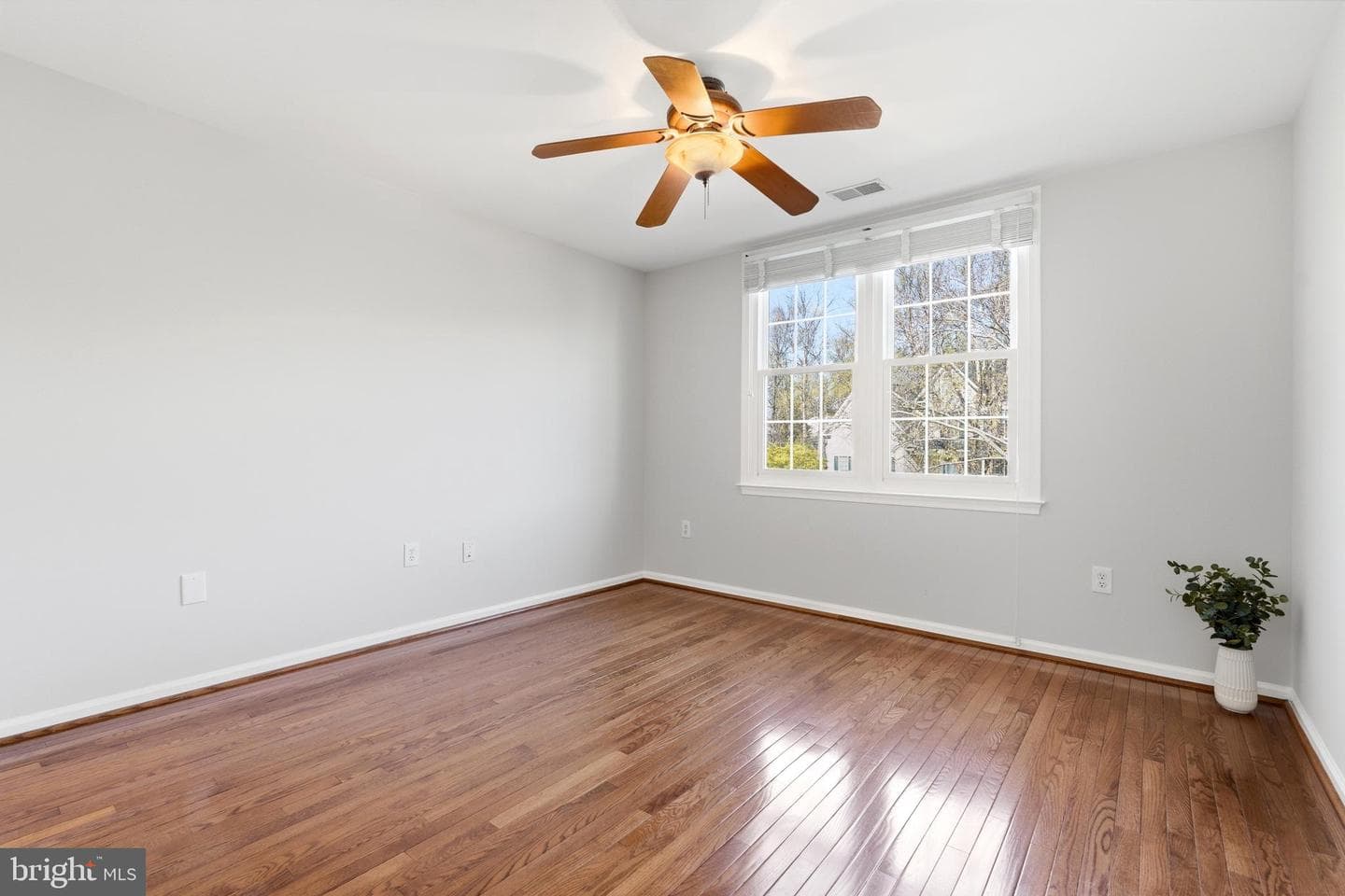 3714 Monitor Place photo 24