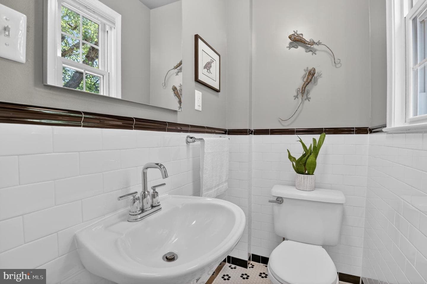 203 Baden Street photo 12
