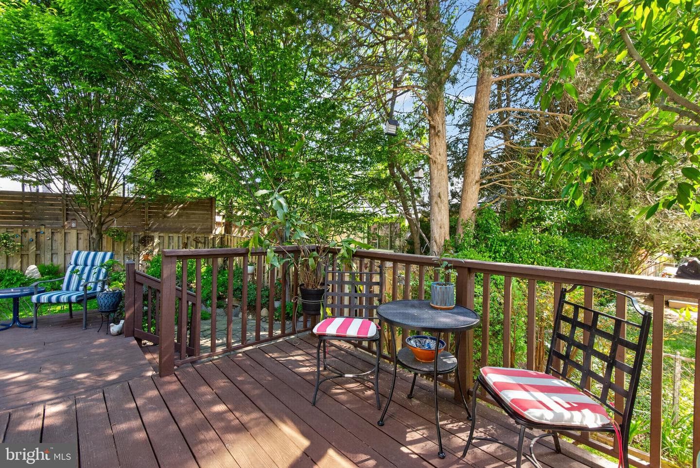 203 Baden Street photo 39