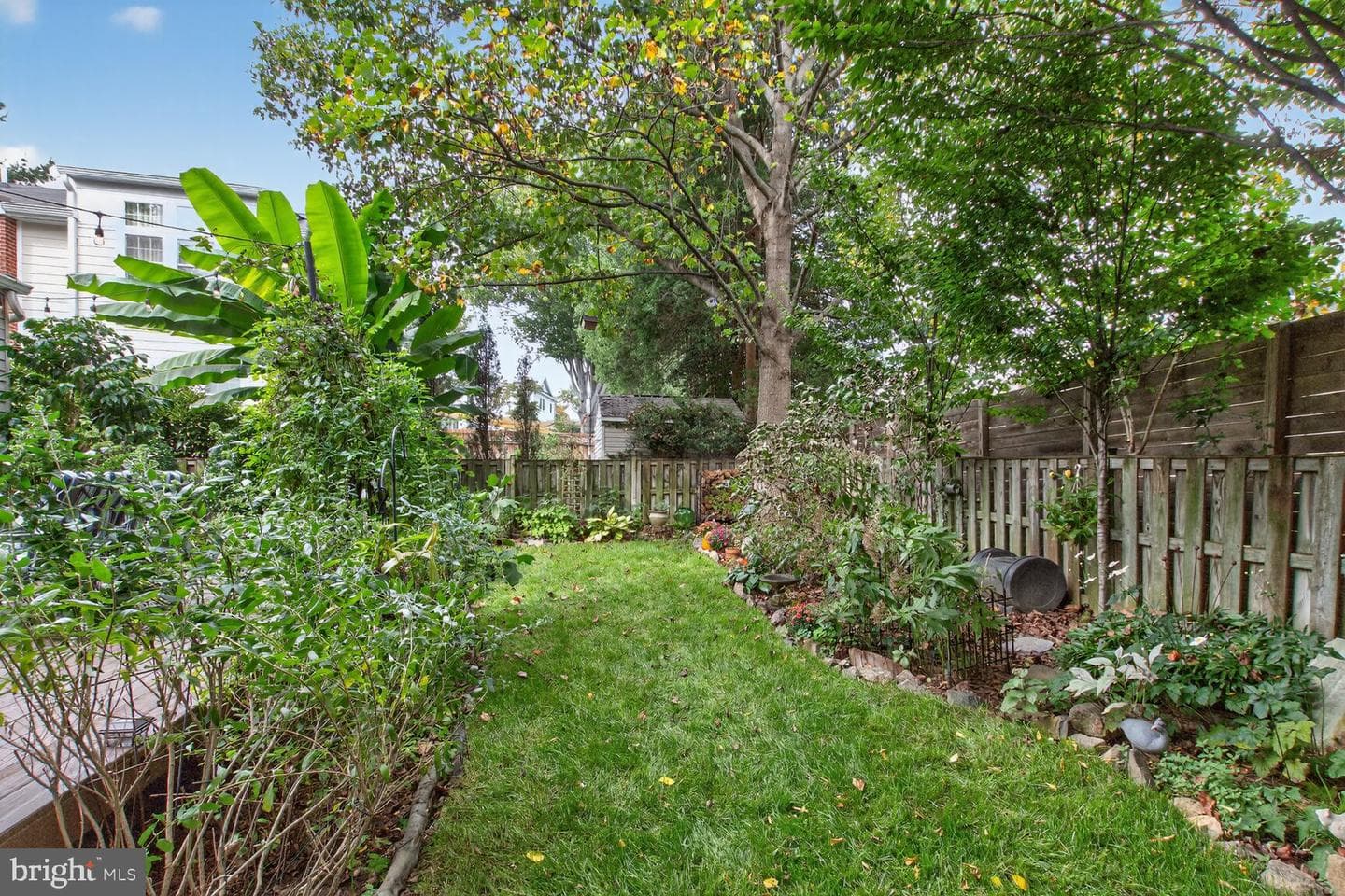 203 Baden Street photo 42