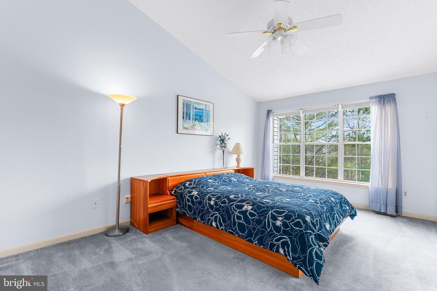 2511 Little Vista Terrace photo 12
