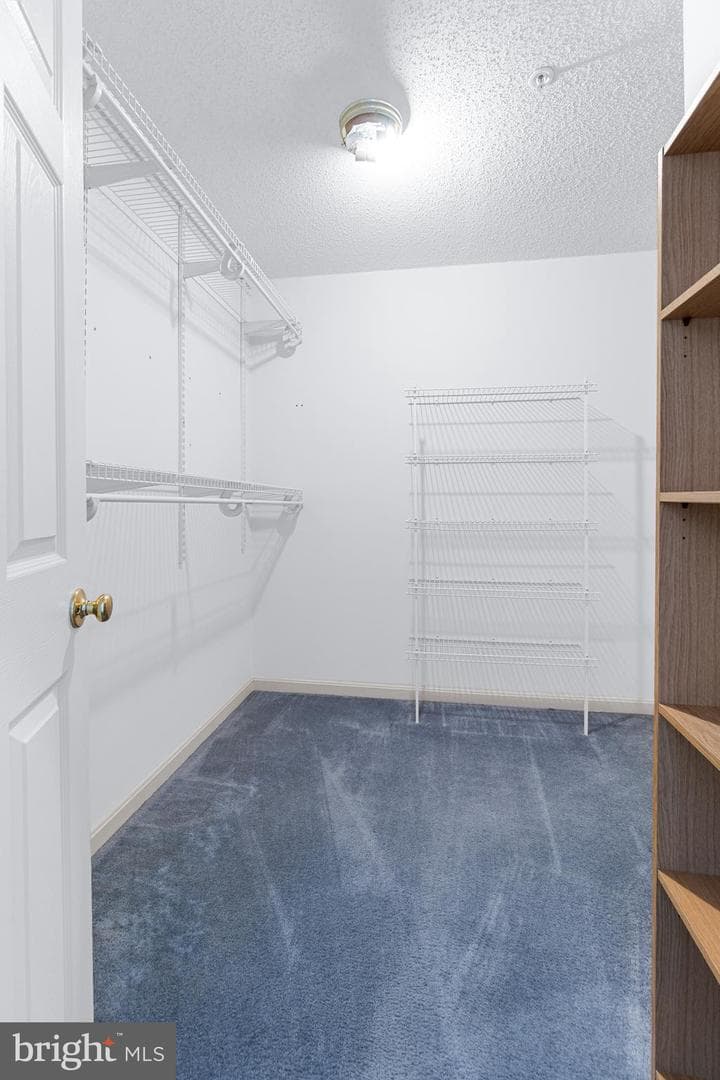 2511 Little Vista Terrace photo 17