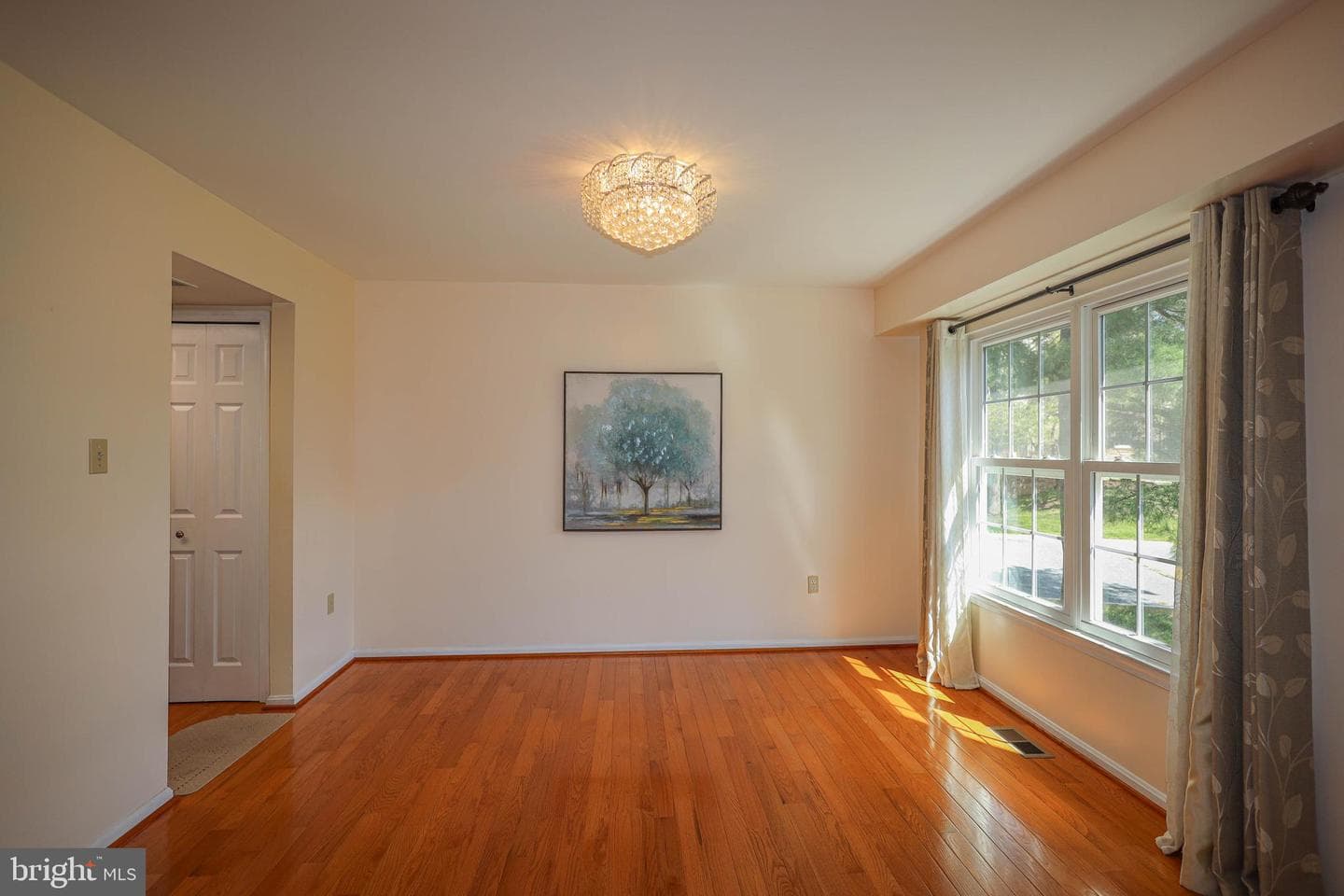 3737 Capulet Terrace #3737 photo 10