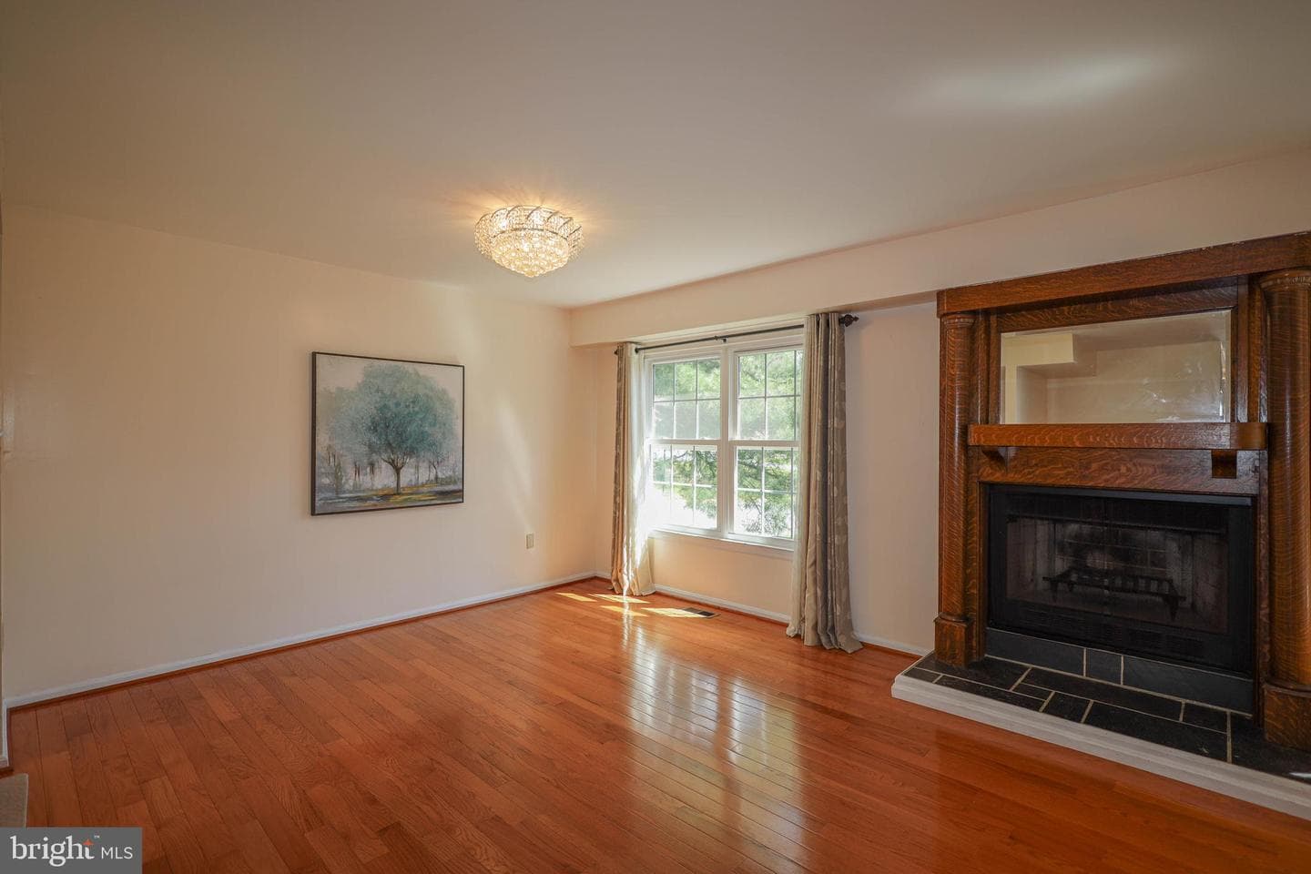 3737 Capulet Terrace #3737 photo 11