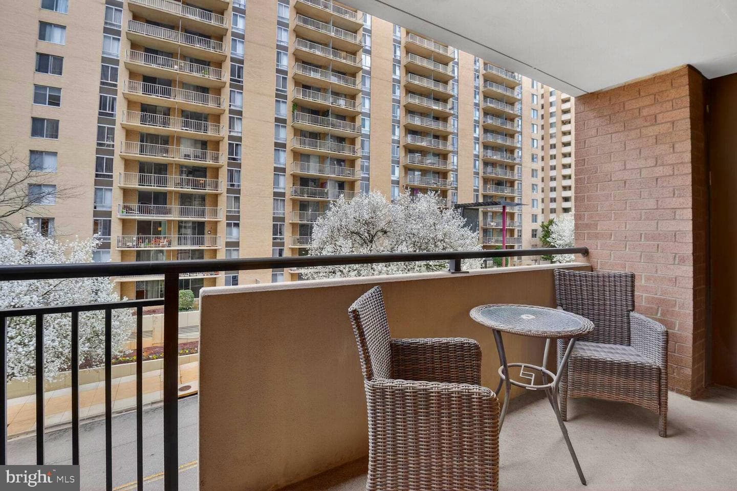 4620 N Park Avenue N #402w photo 6