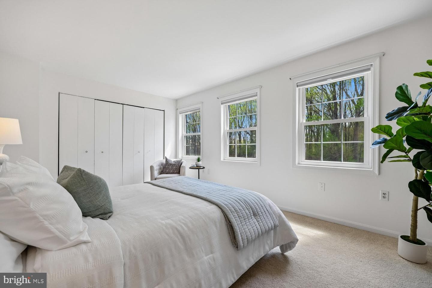 780 Princeton Place #1-780 photo 19