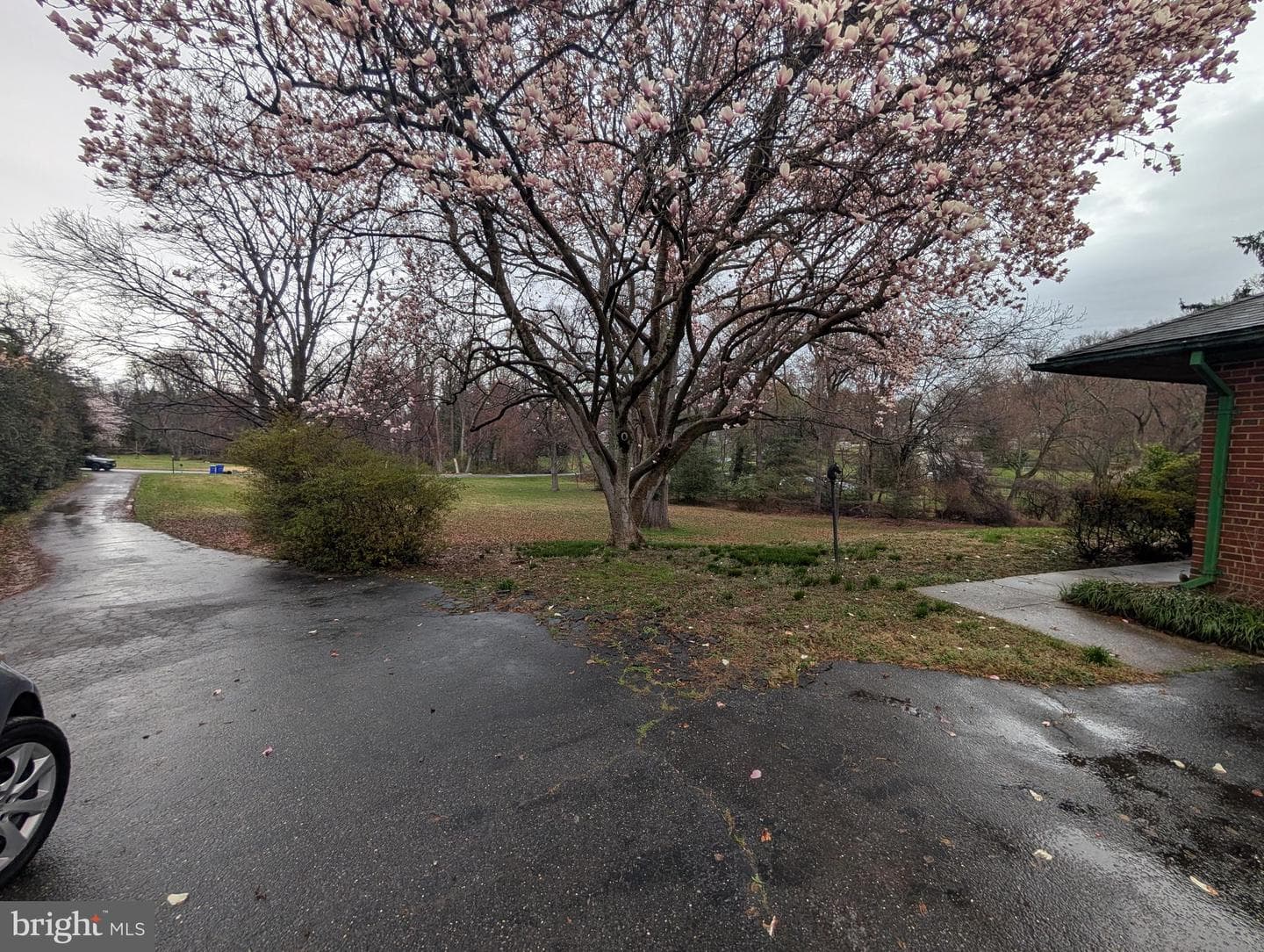 523 Copley Lane photo 8