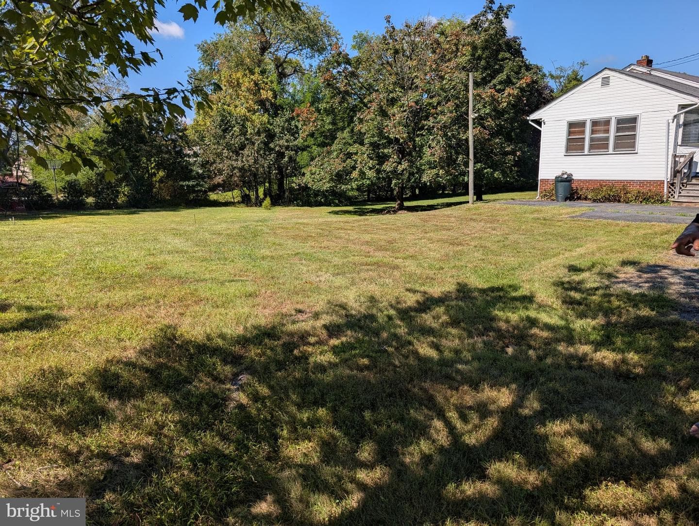15500 Quince Orchard Road photo 4