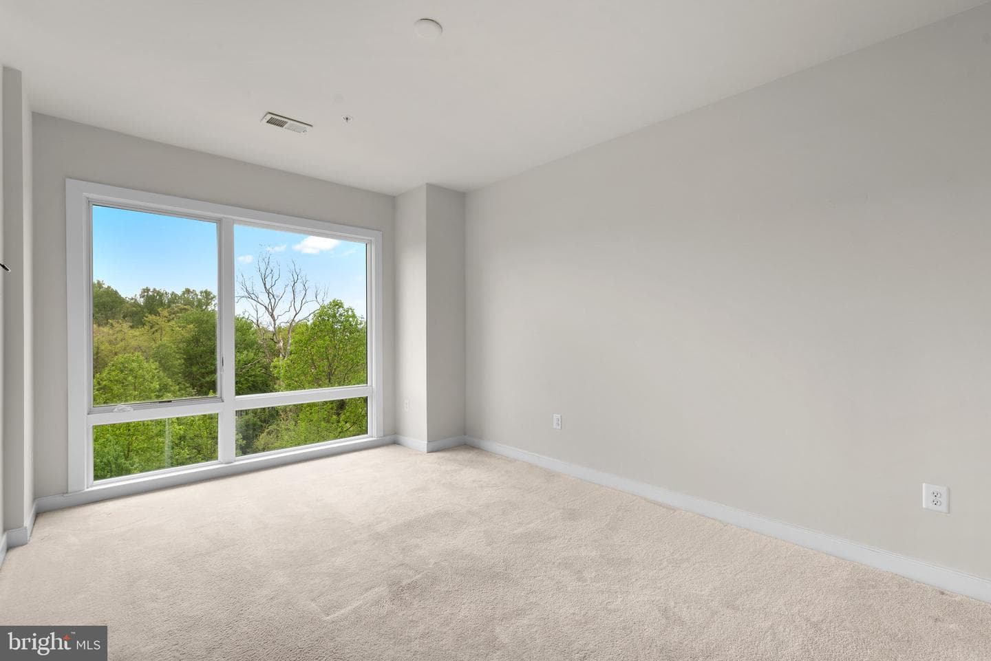 223 Crown Park Avenue photo 13