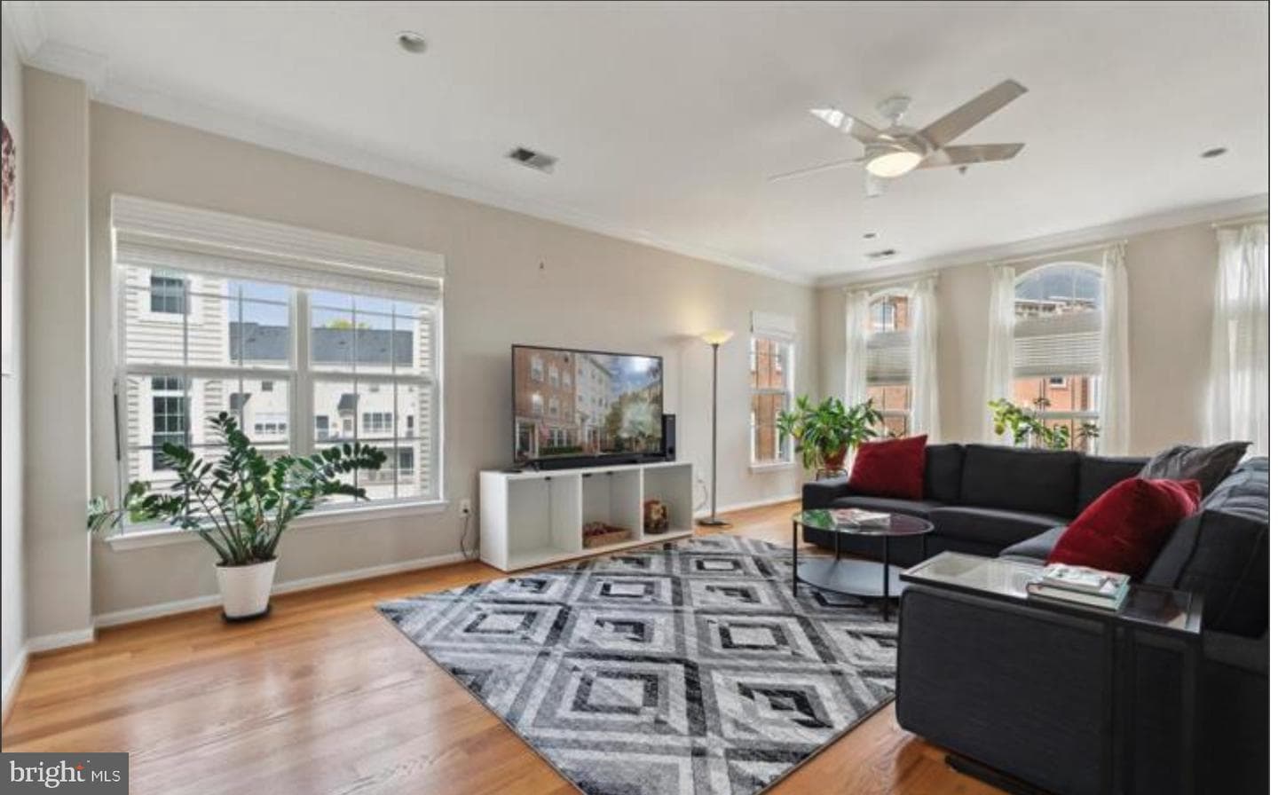 327 Cross Green Street #327b photo 5