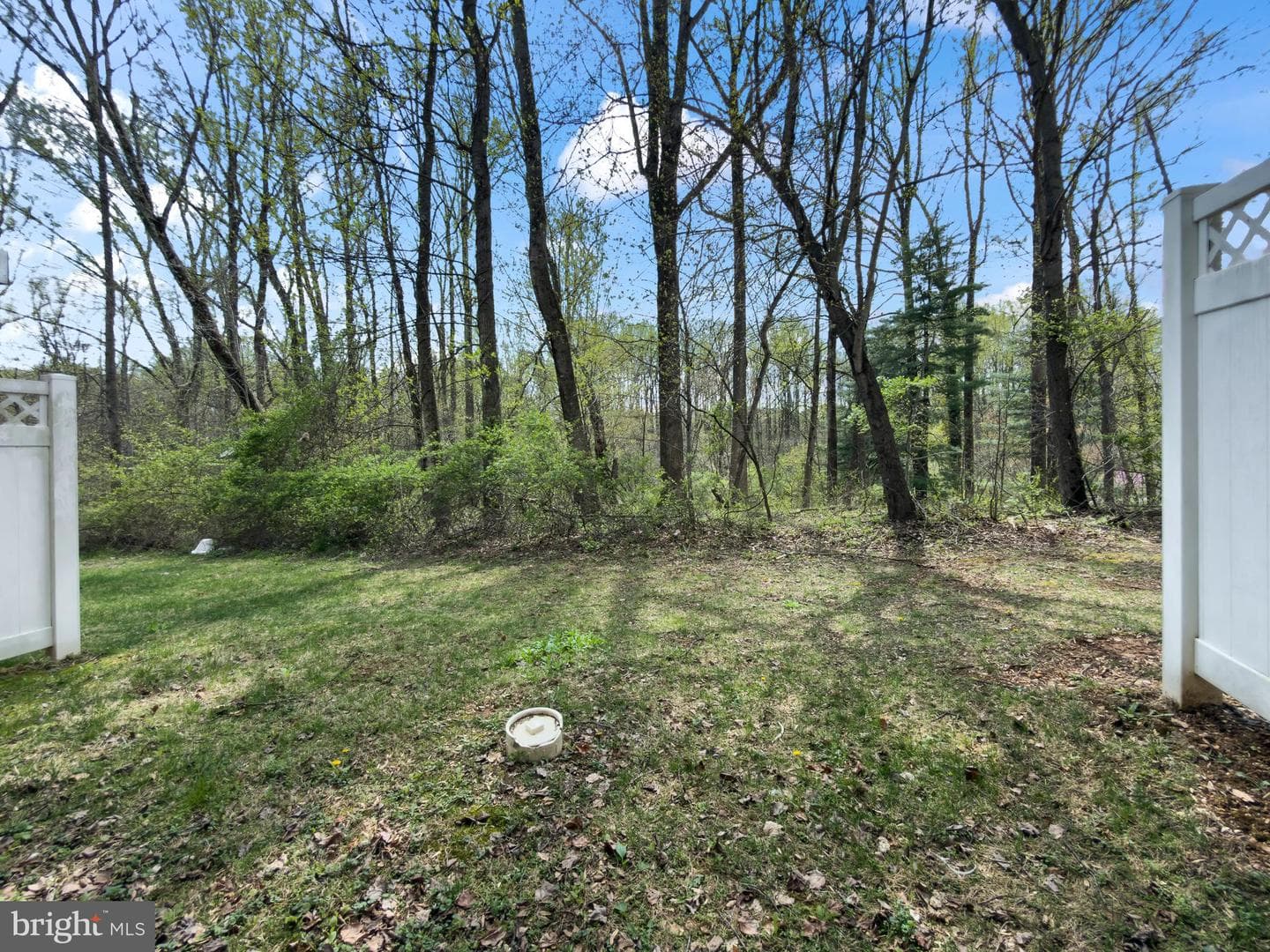 23402 Forest Haven Way photo 31