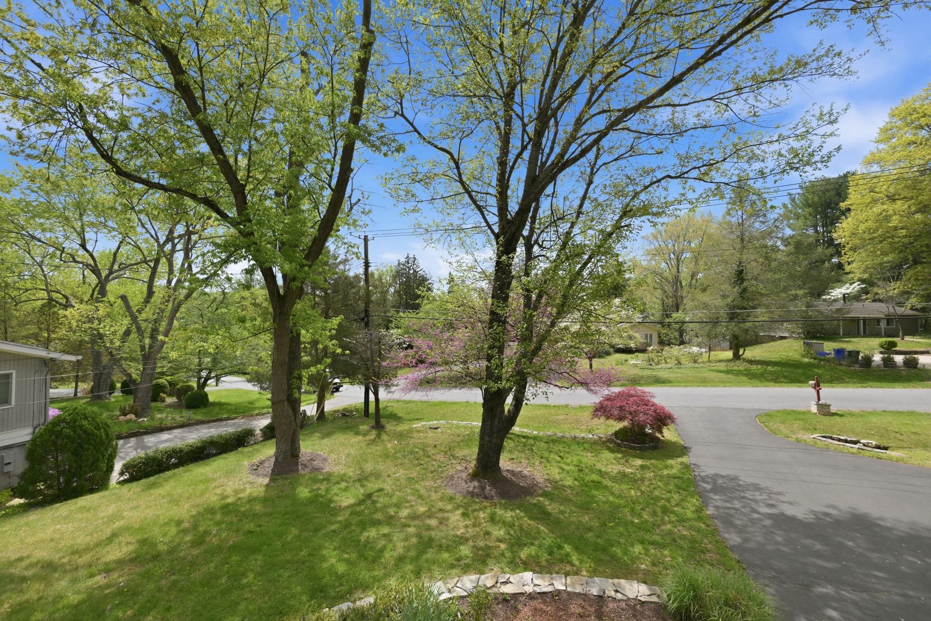 9825 Betteker Lane photo 38