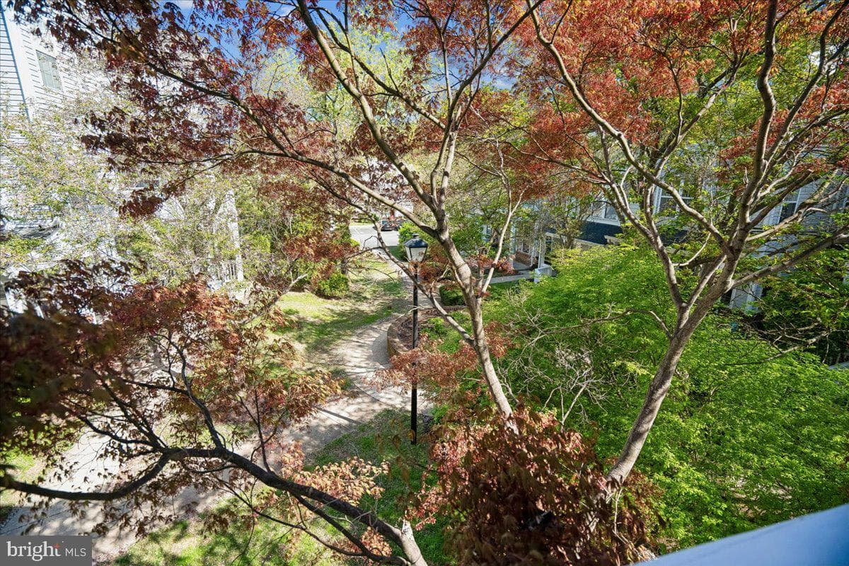 13515 Giant Court photo 56