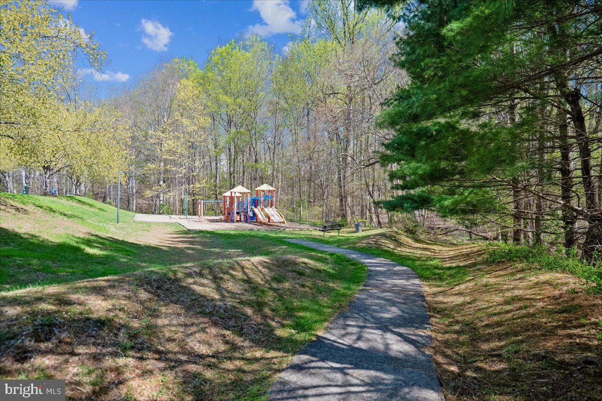 13515 Giant Court photo 65