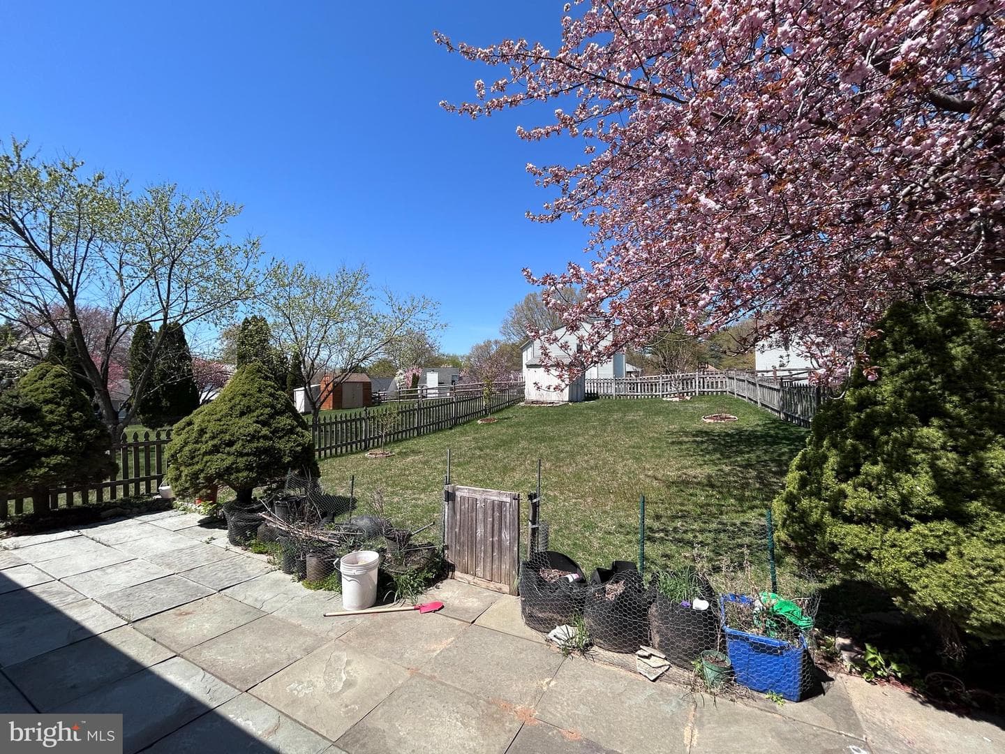 20536 Neerwinder Street photo 7