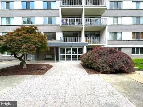 4977 Battery Lane #1-203 photo 8