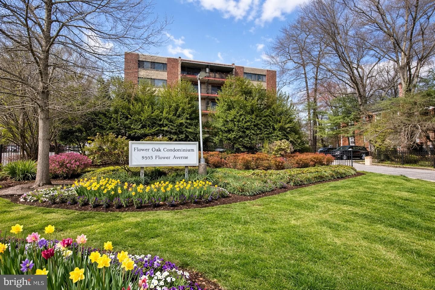 8308 Flower Avenue #203, Takoma Park