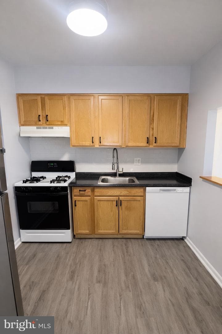 8308 Flower Avenue #203 photo 16