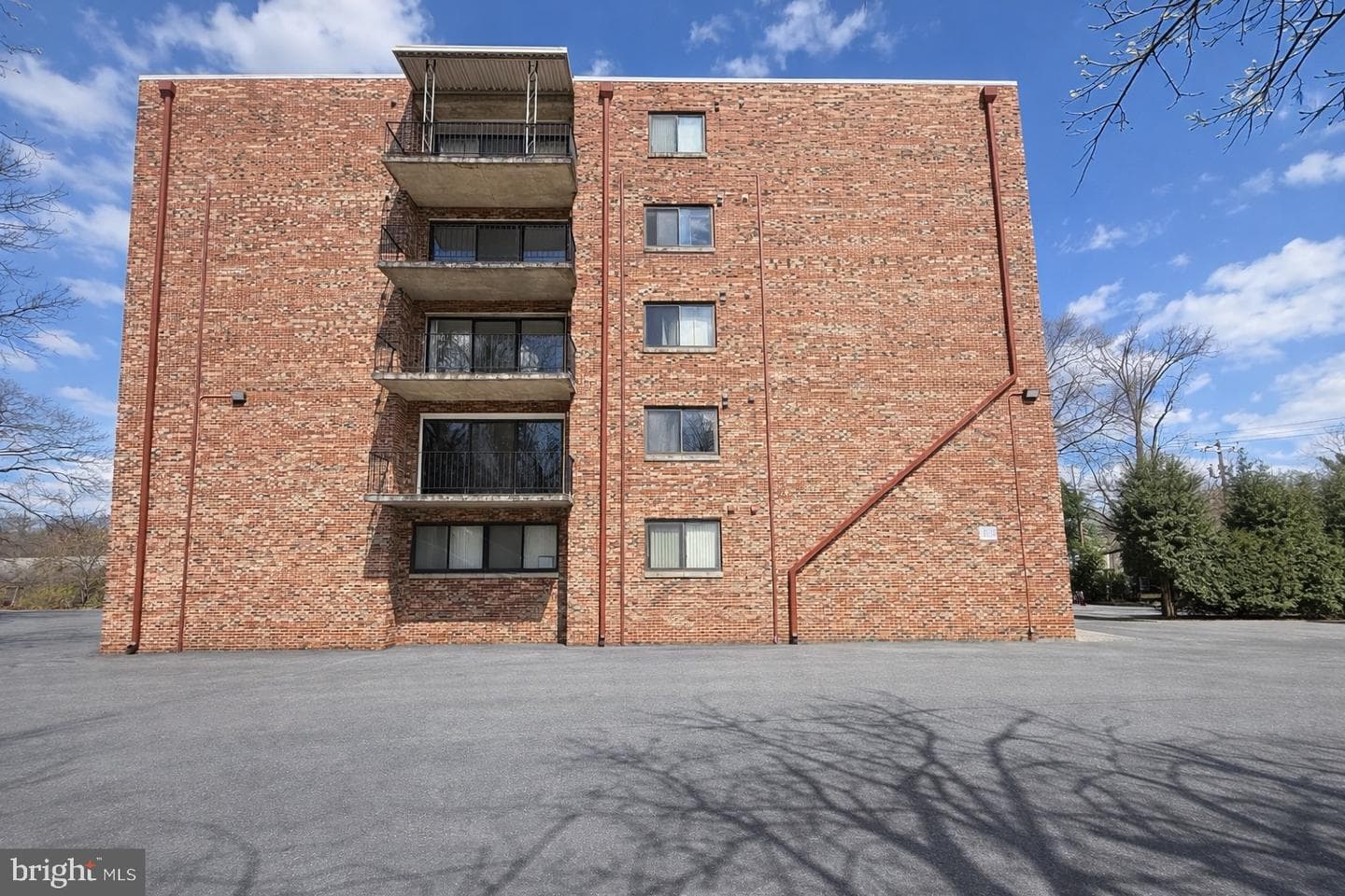 8308 Flower Avenue #203 photo 4