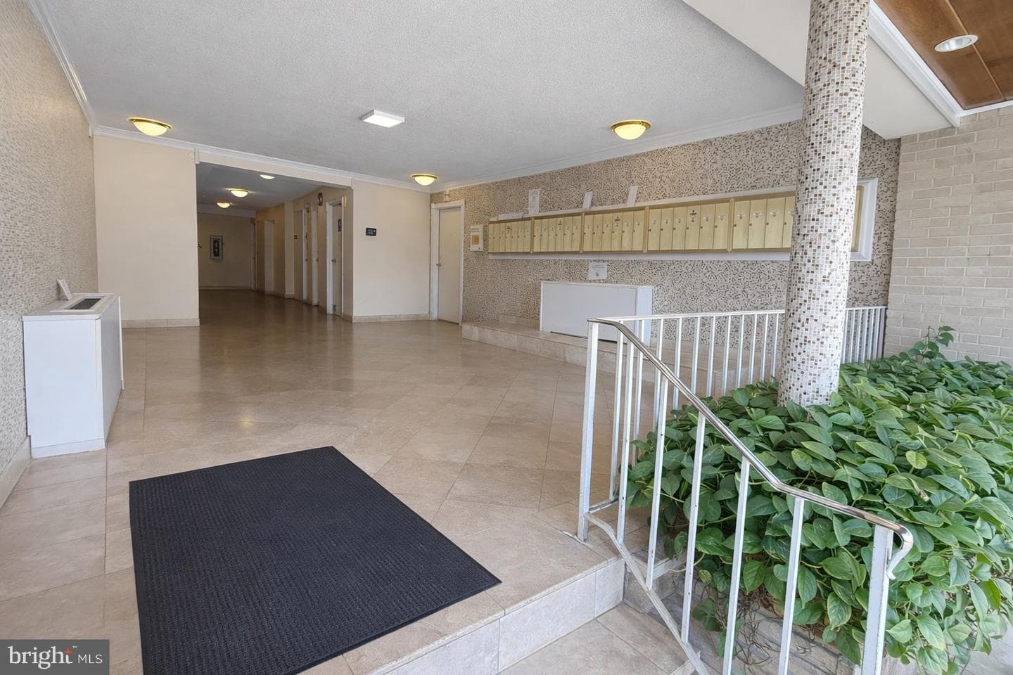 8308 Flower Avenue #203 photo 5
