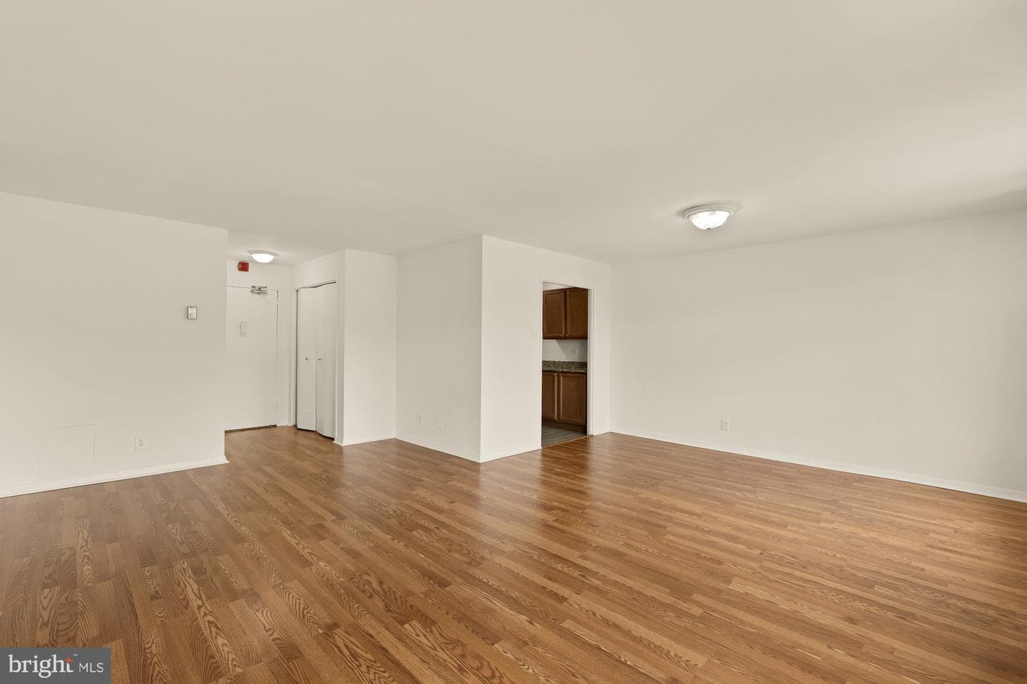 1900 Lyttonsville Road #818 photo 11