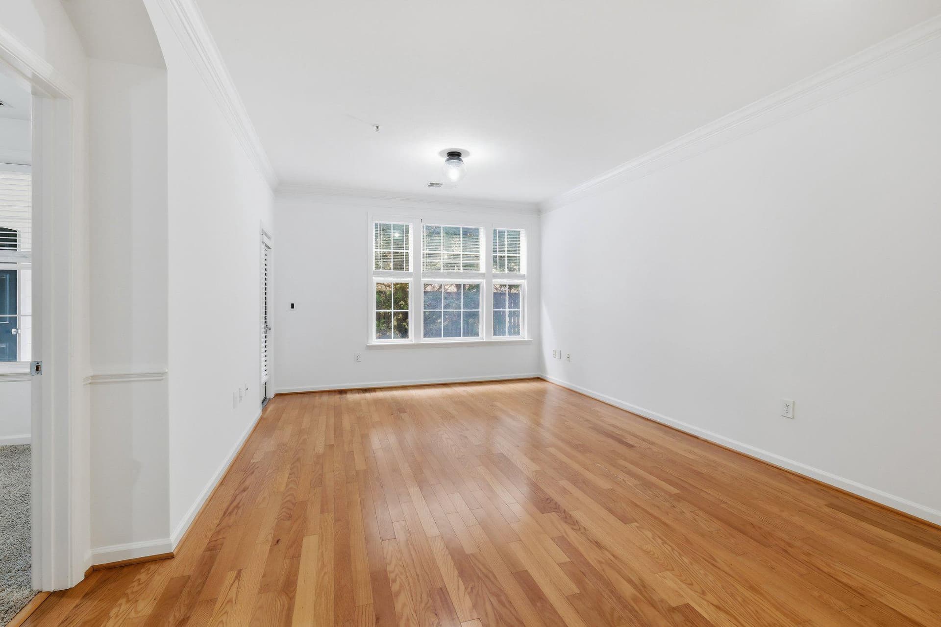 31 Booth Street #b55 photo 7