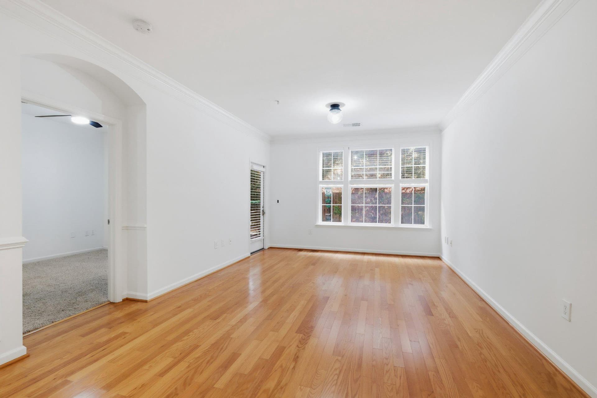 31 Booth Street #b55 photo 8
