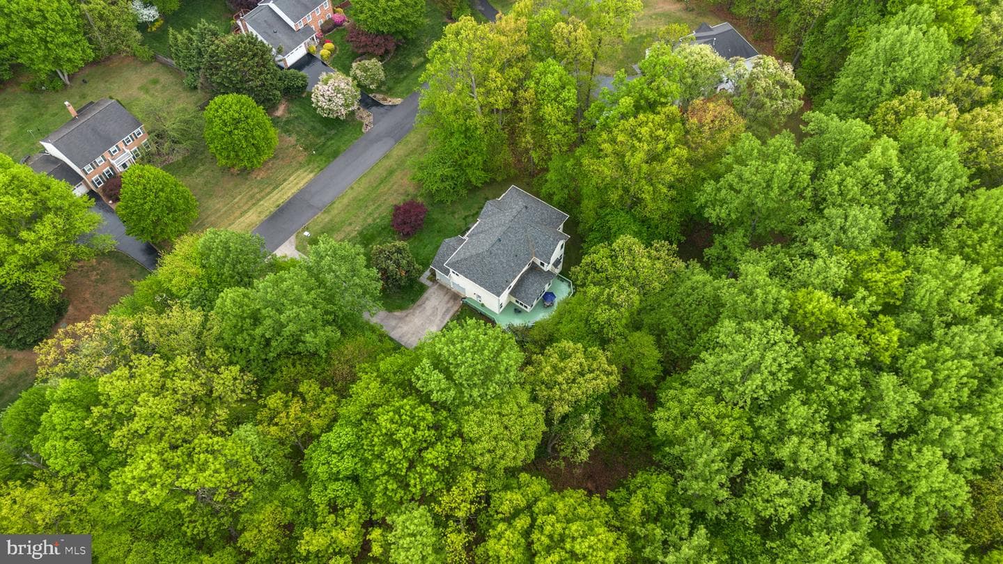 19006 Raines Drive photo 70