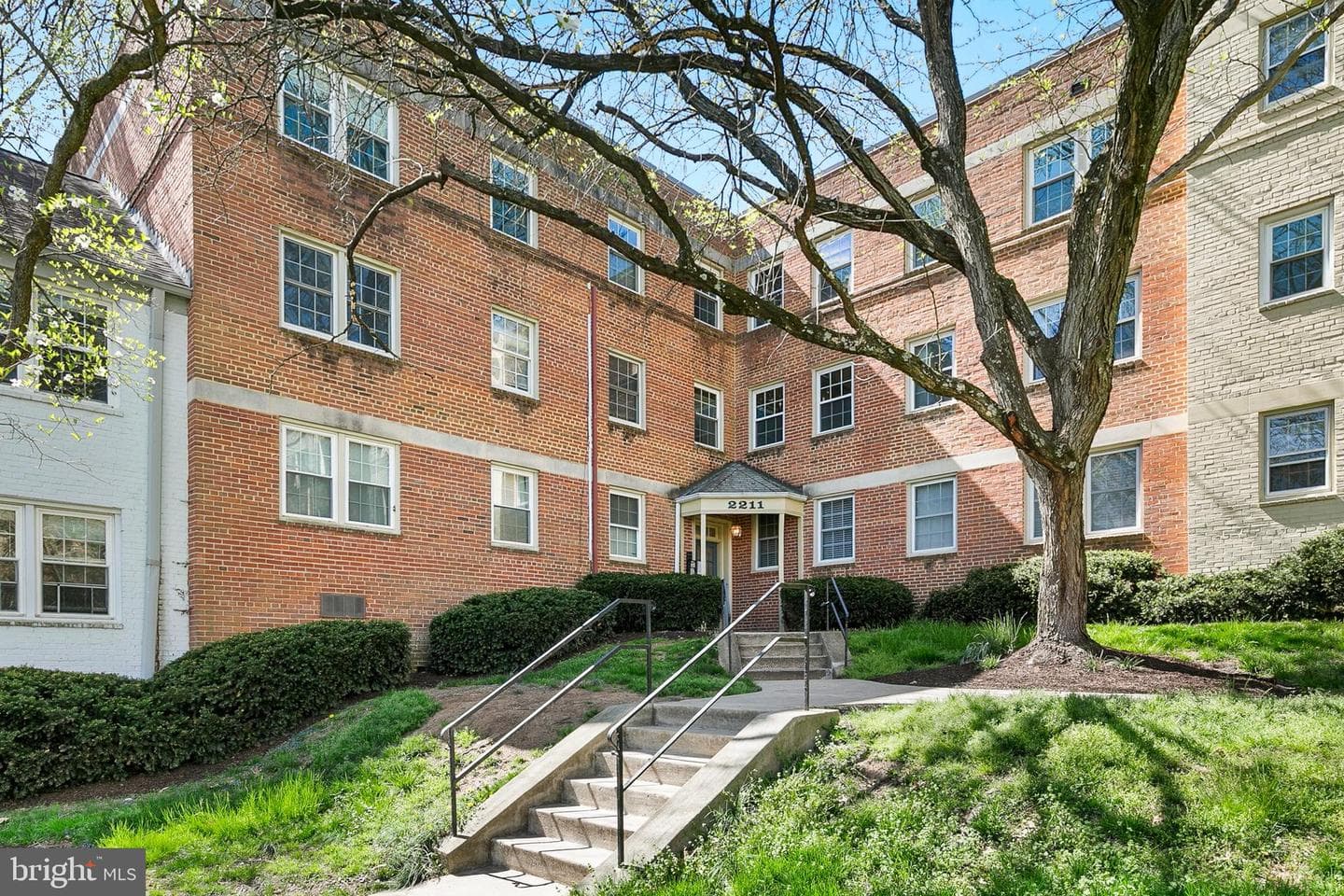 2211 Washington Avenue #303 photo 3