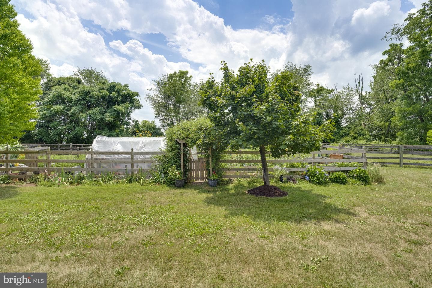 26100 Mullinix Mill photo 64