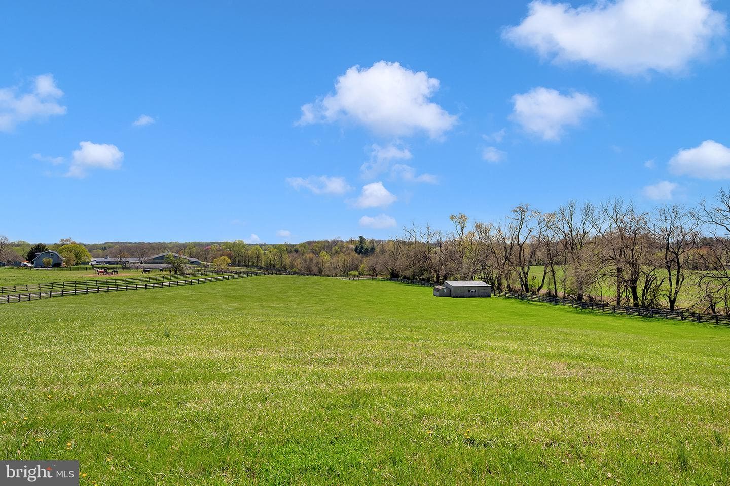26100 Mullinix Mill photo 97