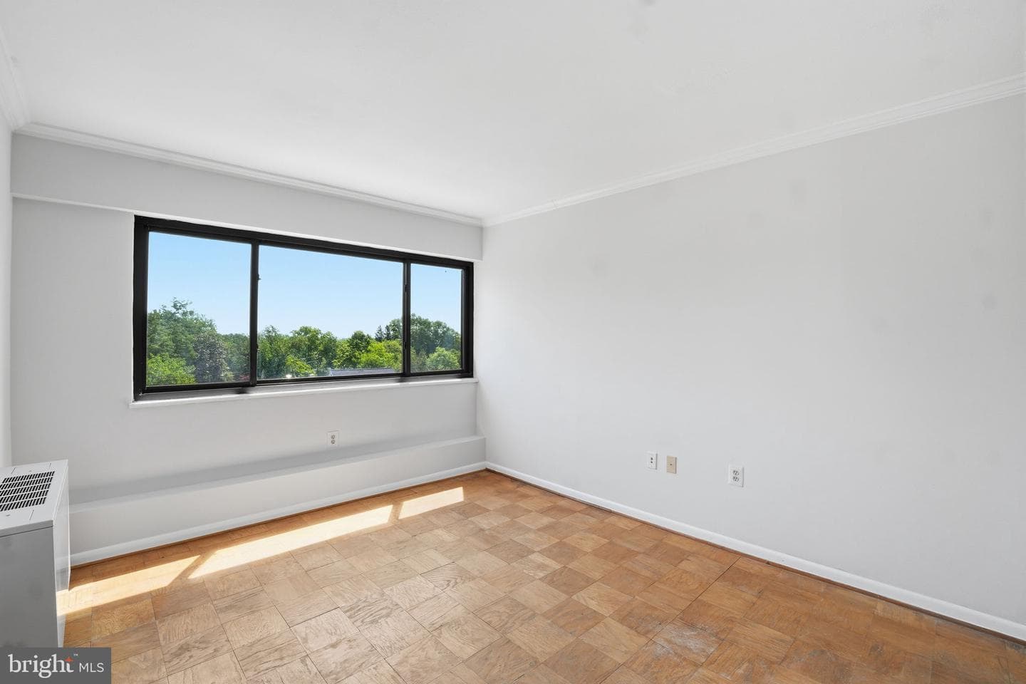 8308 Flower Avenue #501 photo 15