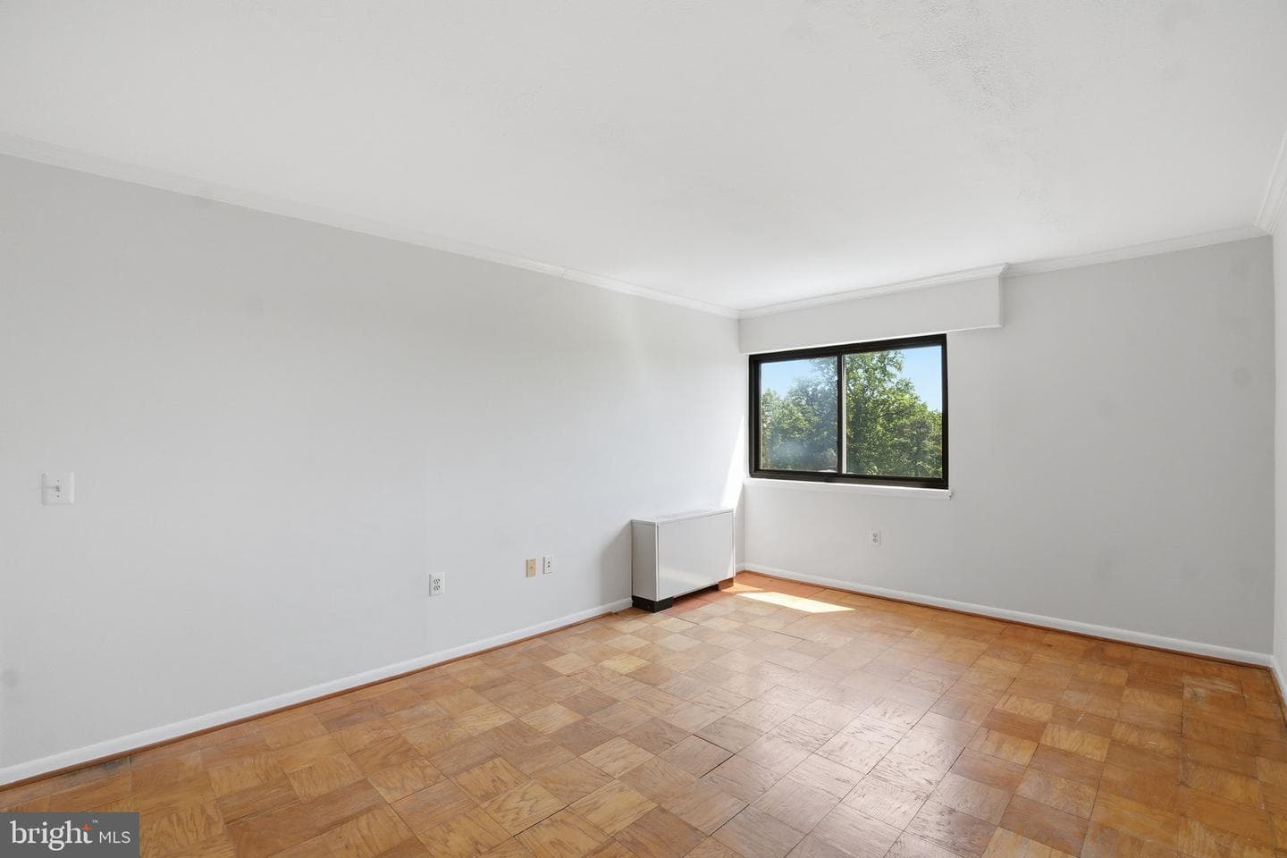 8308 Flower Avenue #501 photo 18