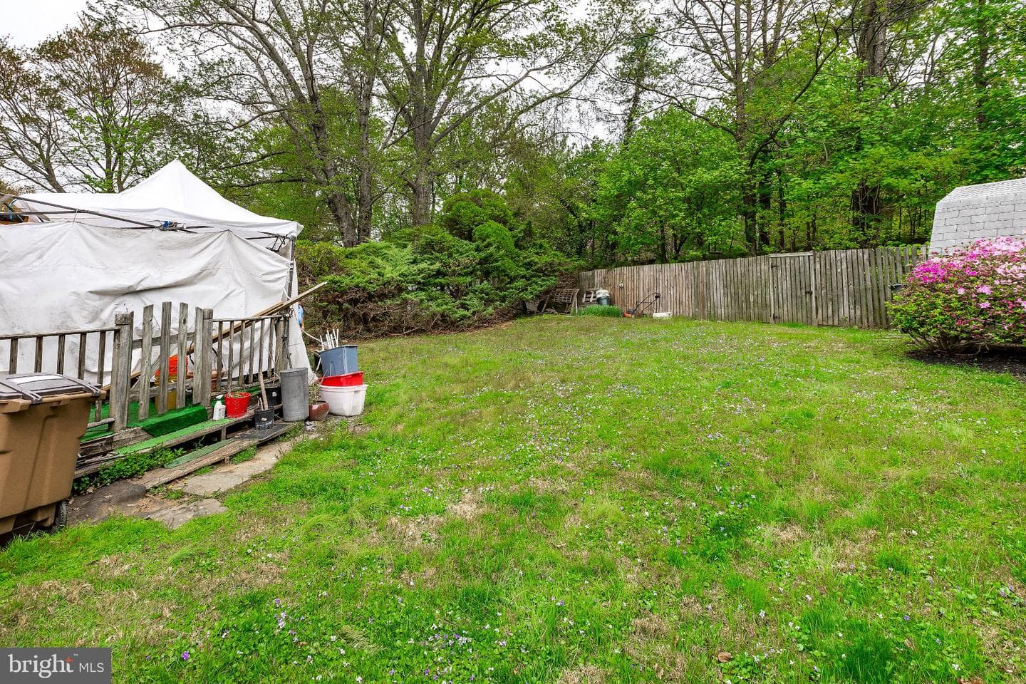 210 Hardy Place photo 7