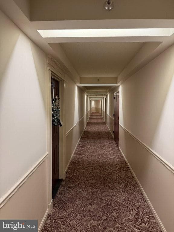 15101 Interlachen Drive #1-124 photo 4