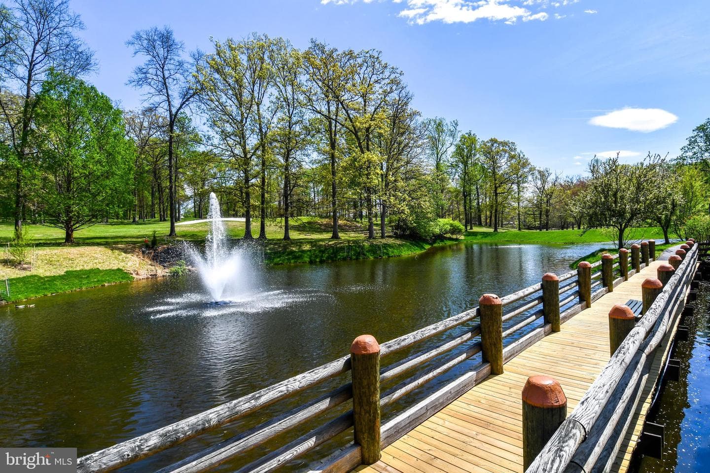 15101 Interlachen Drive #1-526 photo 4