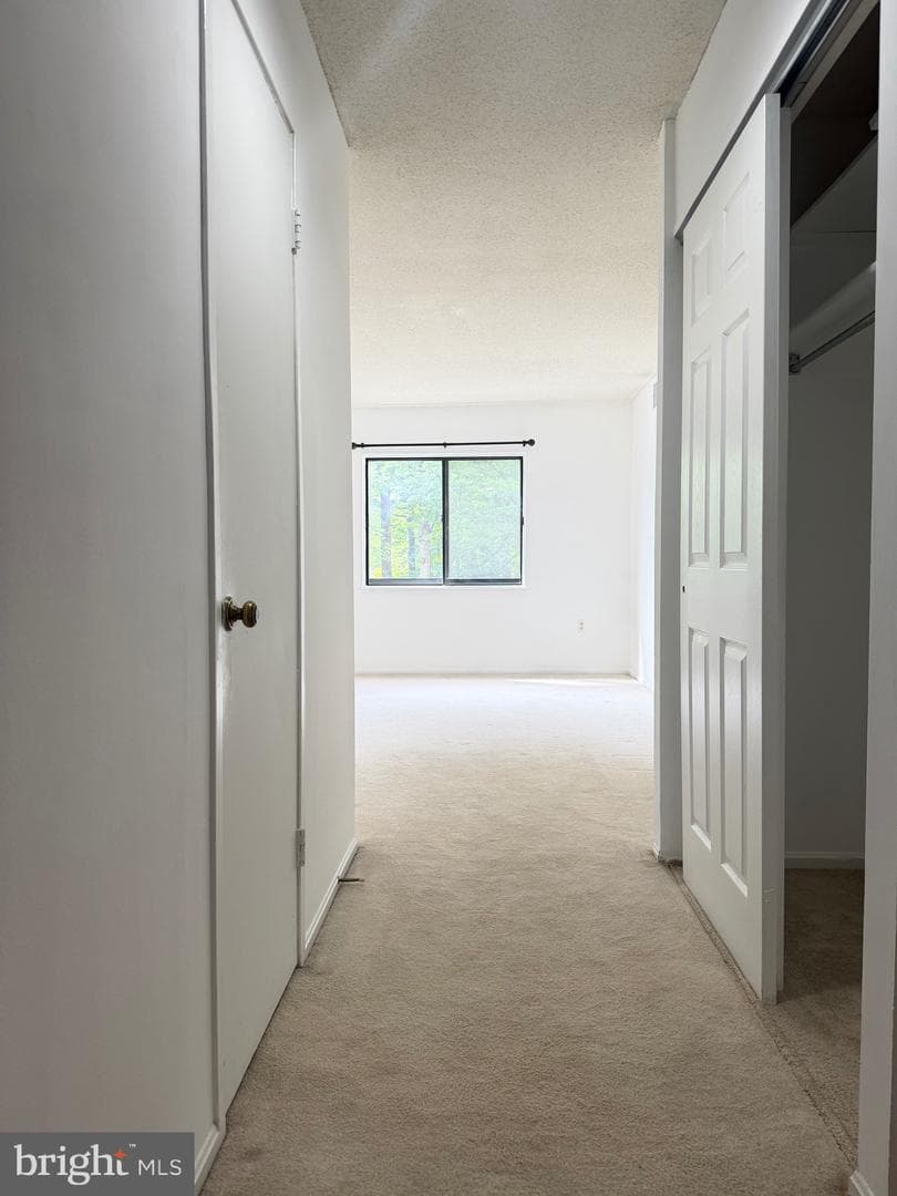 15107 Interlachen Drive #2-119 photo 10