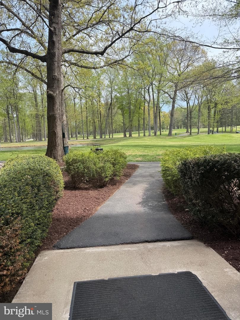 15107 Interlachen Drive #2-119 photo 23